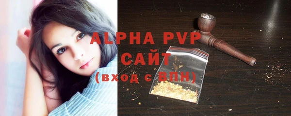 spice Карпинск