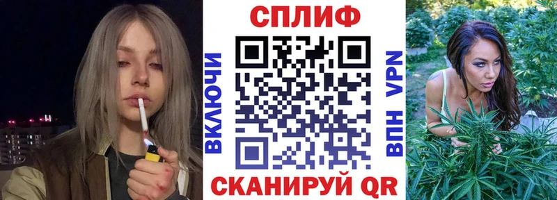 Каннабис гибрид закладки Терек